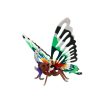 3D Puzzles Hands Craft US, Inc. | 3D Wood Puzzle + Paint Kit: Butterfly